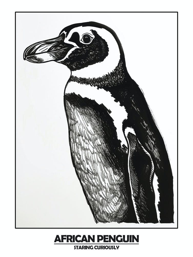 Penguin Staring Curiously Poster