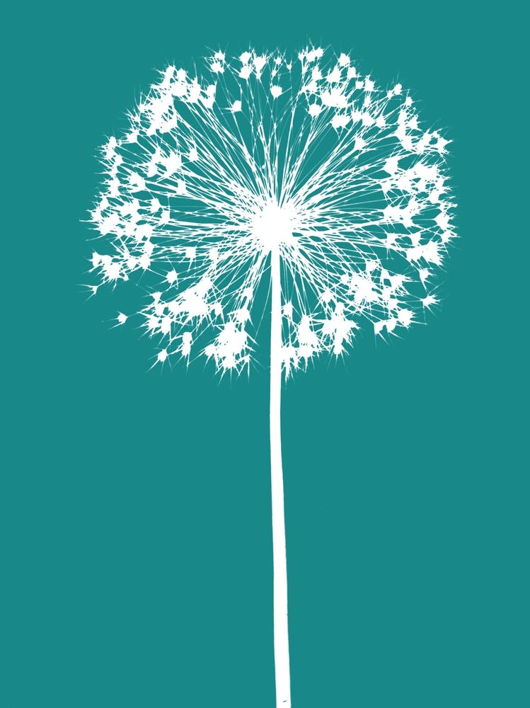Teal white allium