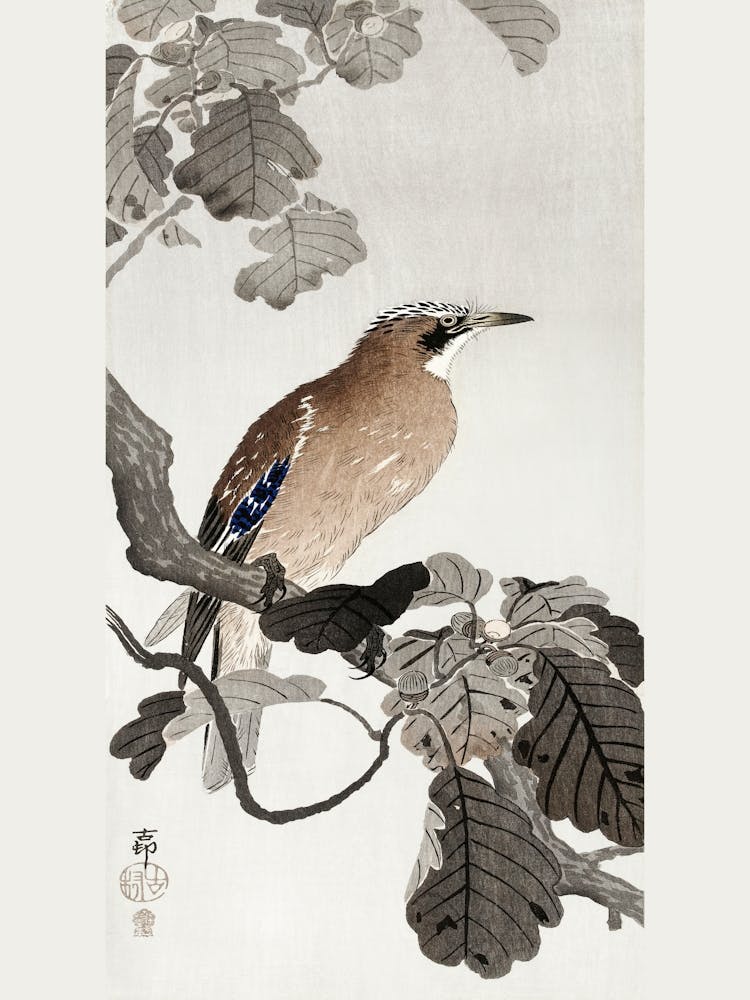 Jay On Tree Branch (1900 1910), Ohara Koson