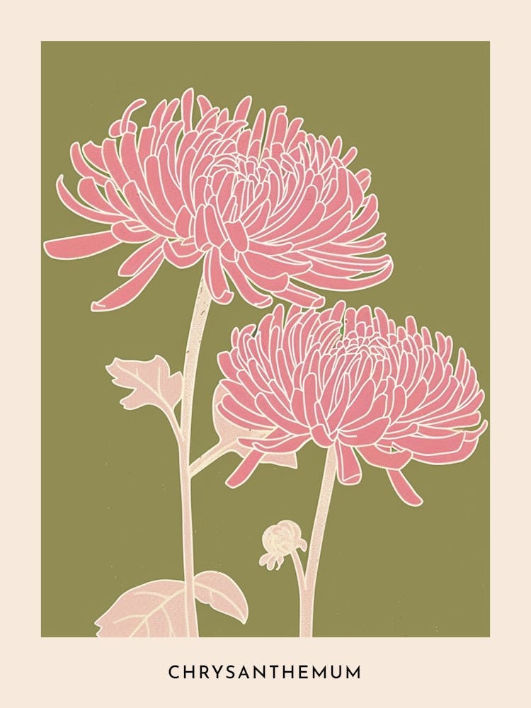 Pink & Green Chrysanthemum 1 Flower Poster