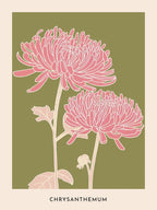 Pink & Green Chrysanthemum 1 Flower Poster