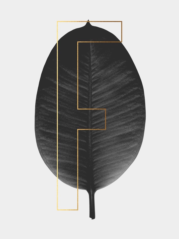 Abc Plant F