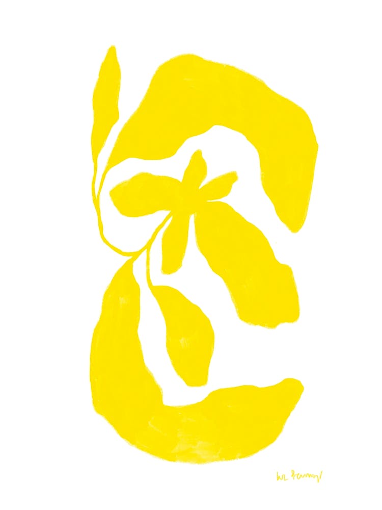 Spring Yellow Flowers 8