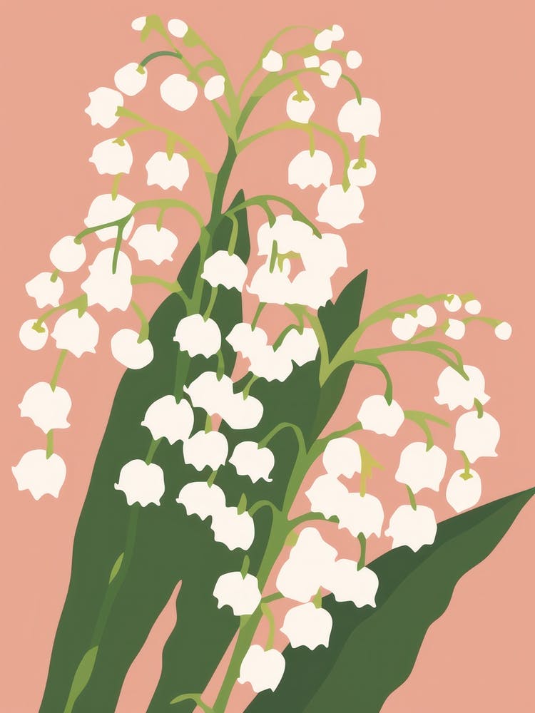 Lilies Of The Valley Flower Big Bold Illustration 2