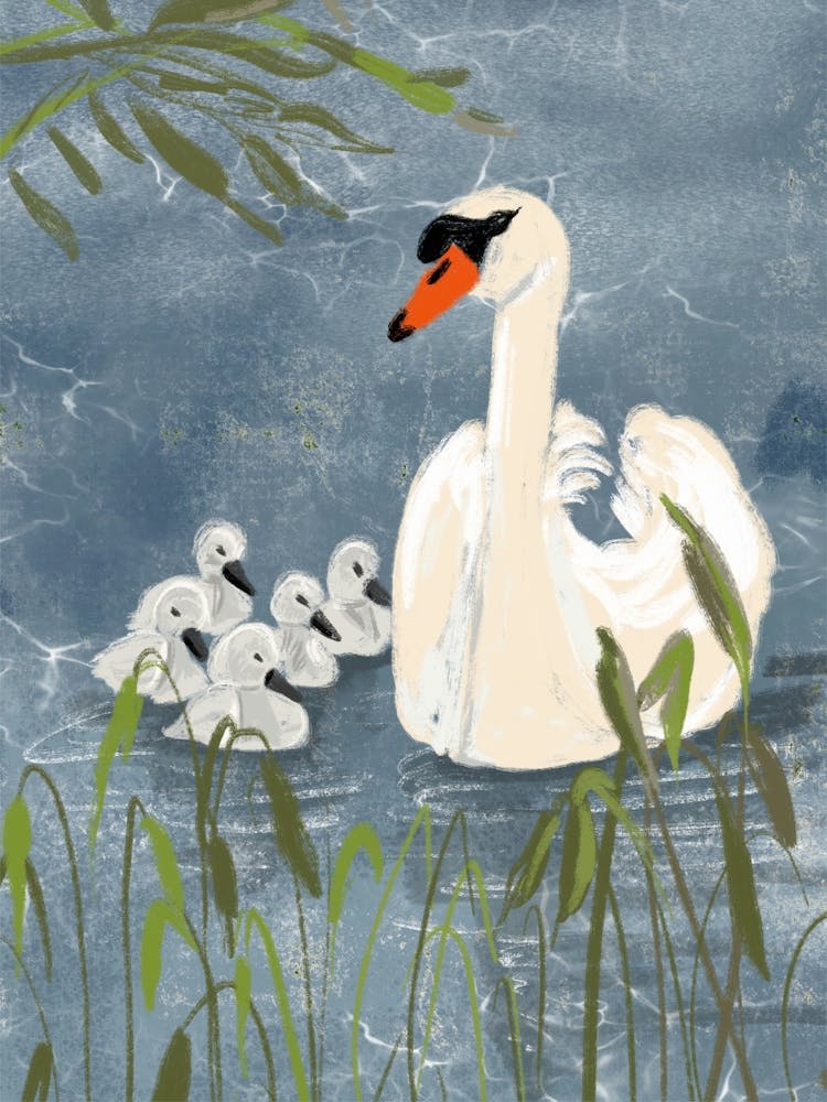 Schwäne im See
