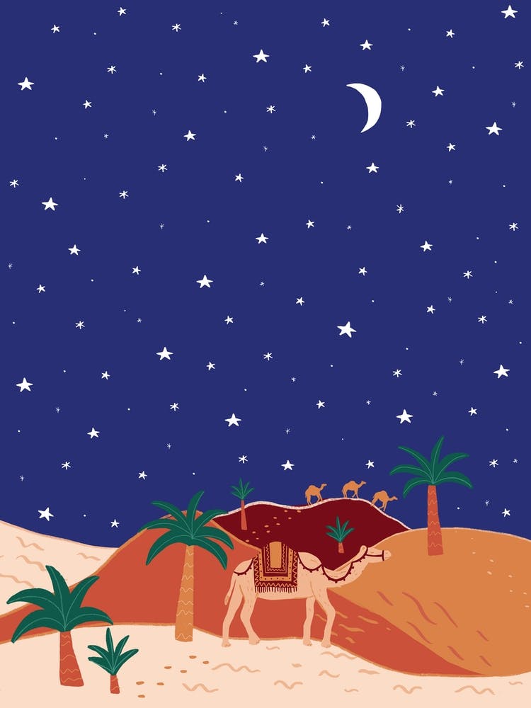 Desert Nights