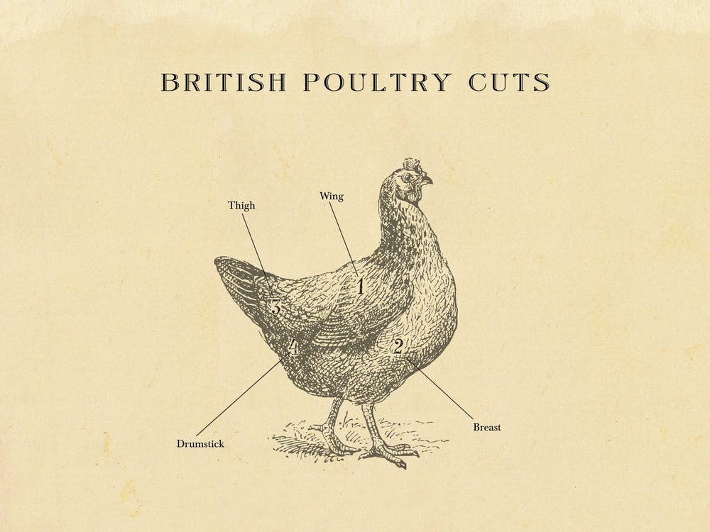 British Poultry Chicken Butcher Cuts Chart