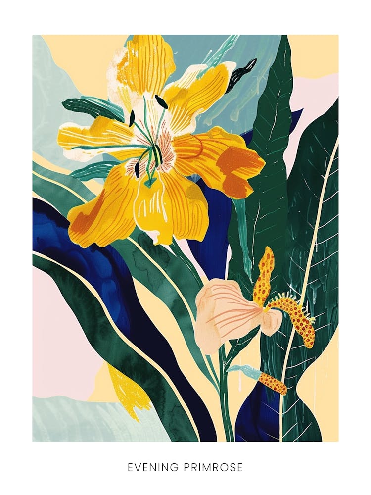 Colourful Flower Illustration Poster Evening Primrose 2