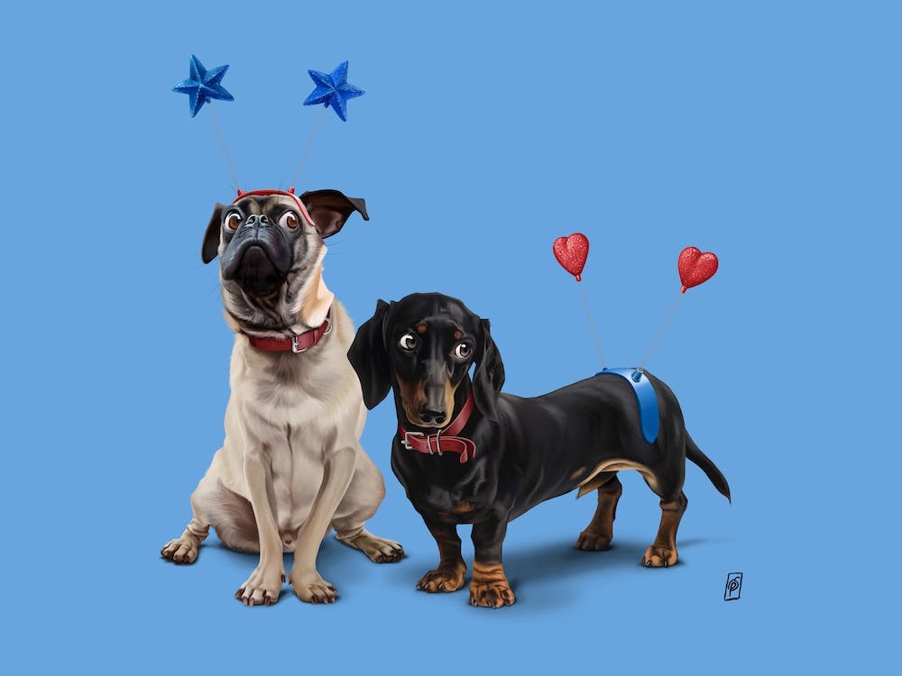 What's the Deely? (Colour)