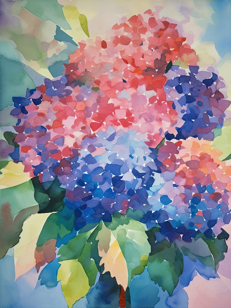 Hydrangea Flower Illustration 4