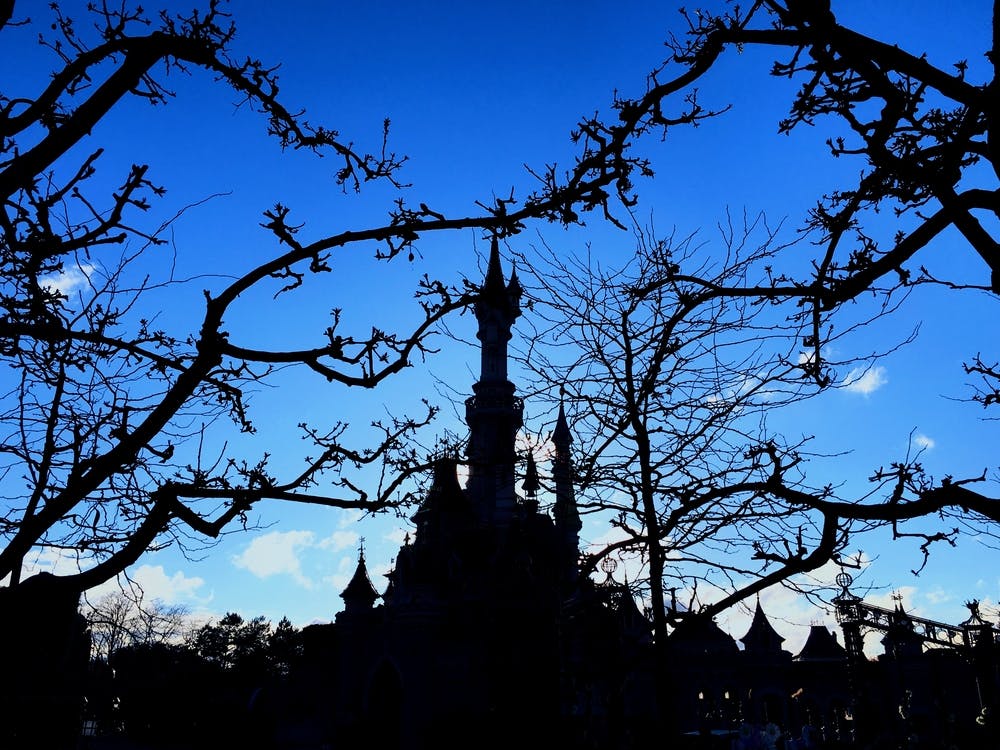 Silhouette Of Castle (Paris Series)