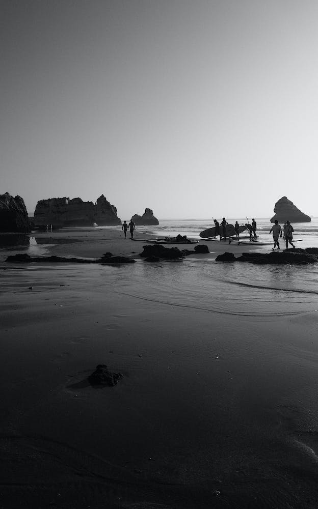 Surf Vibes Ii