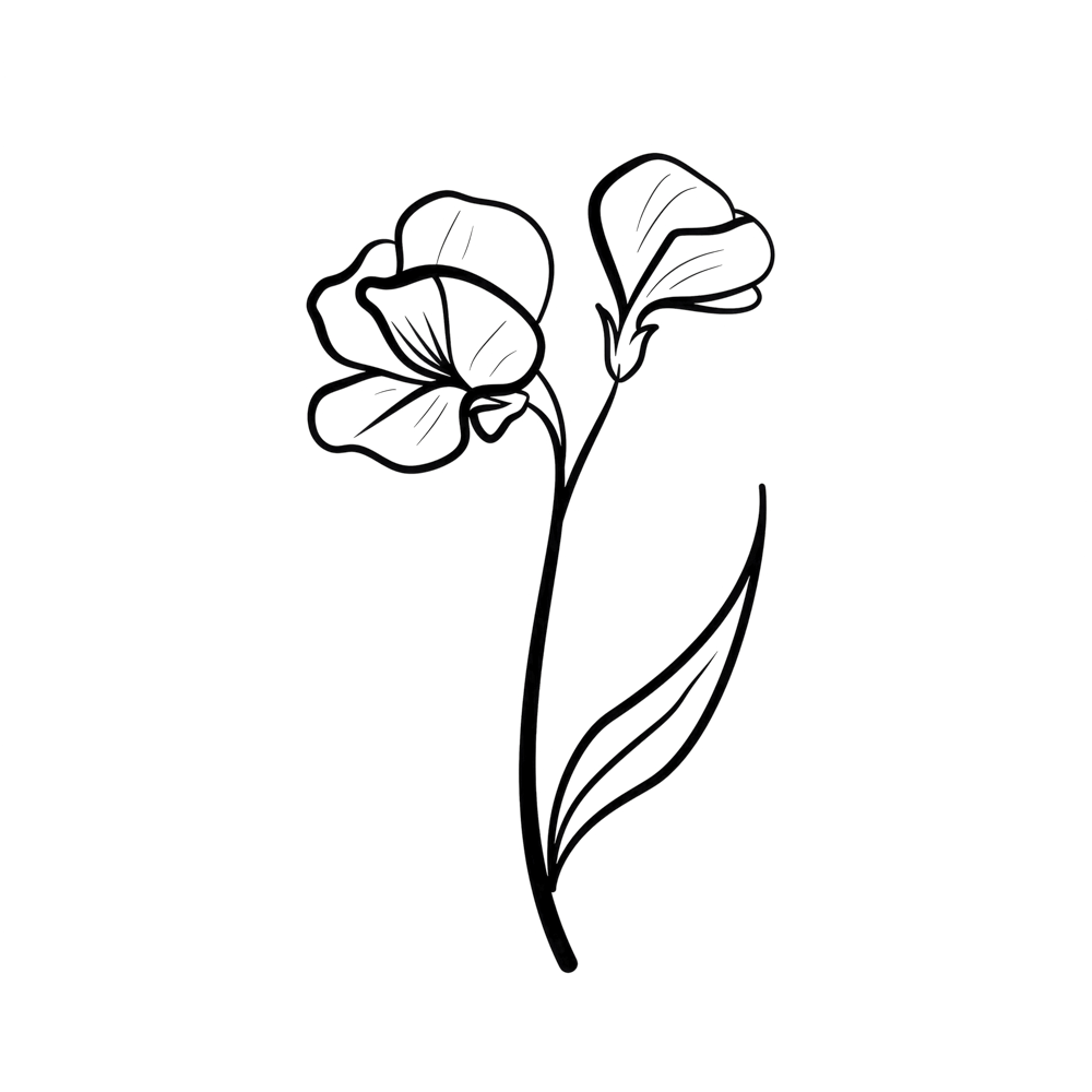 Sweatpea April Birth Month Flower
