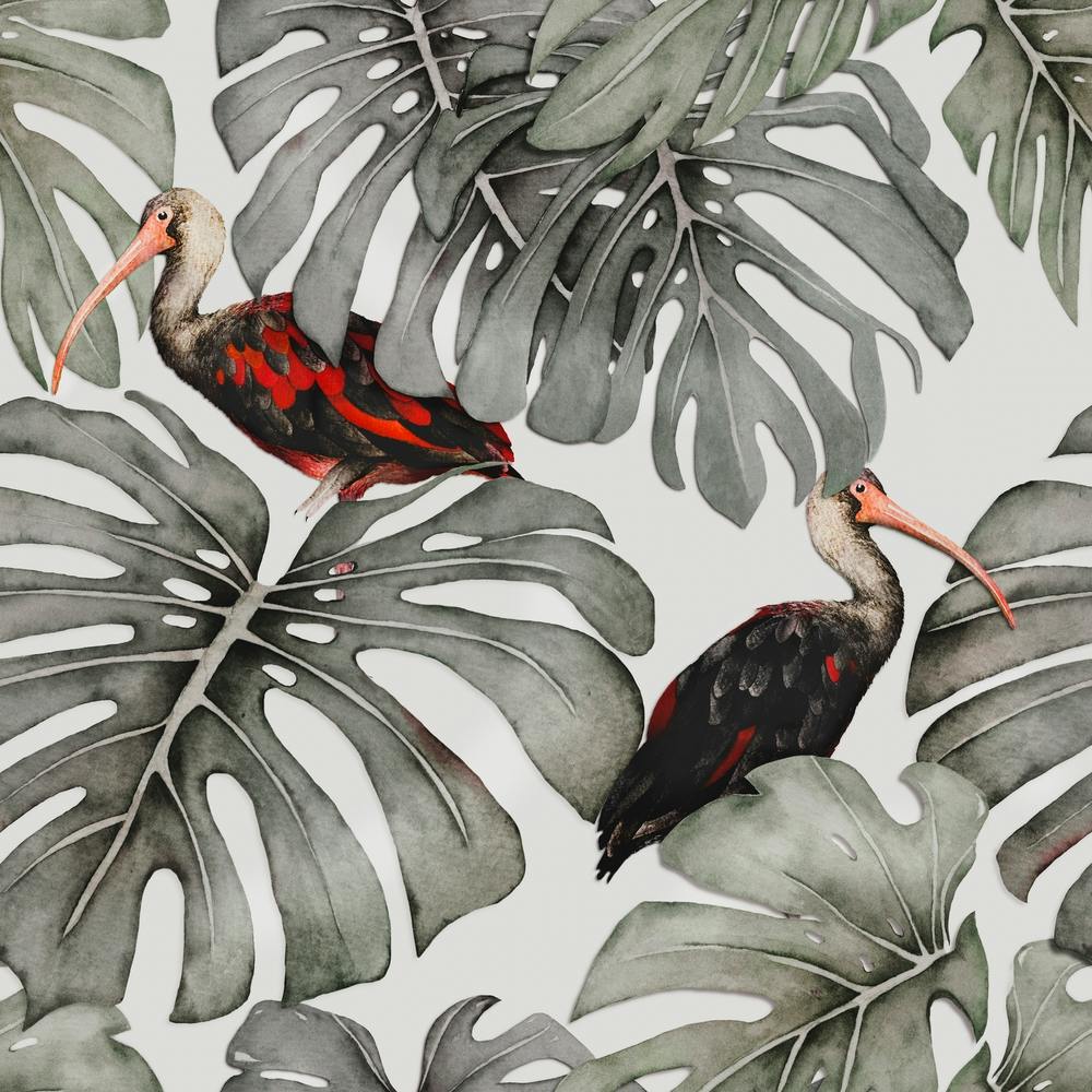 Monstera Ibis Square