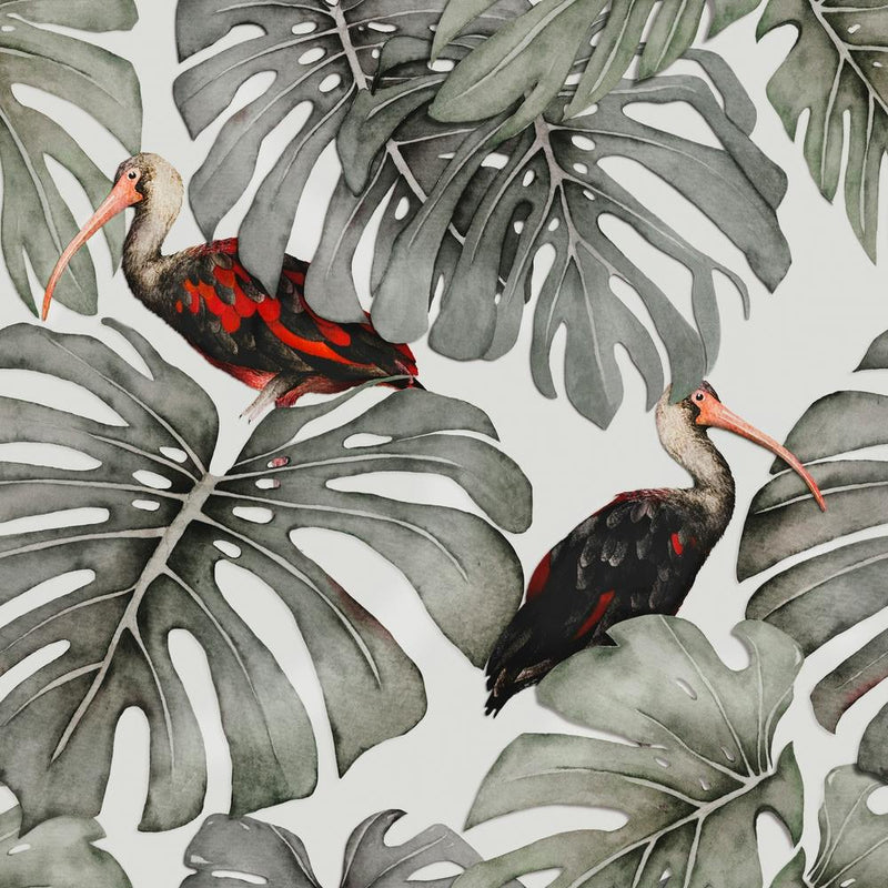Monstera Ibis Square