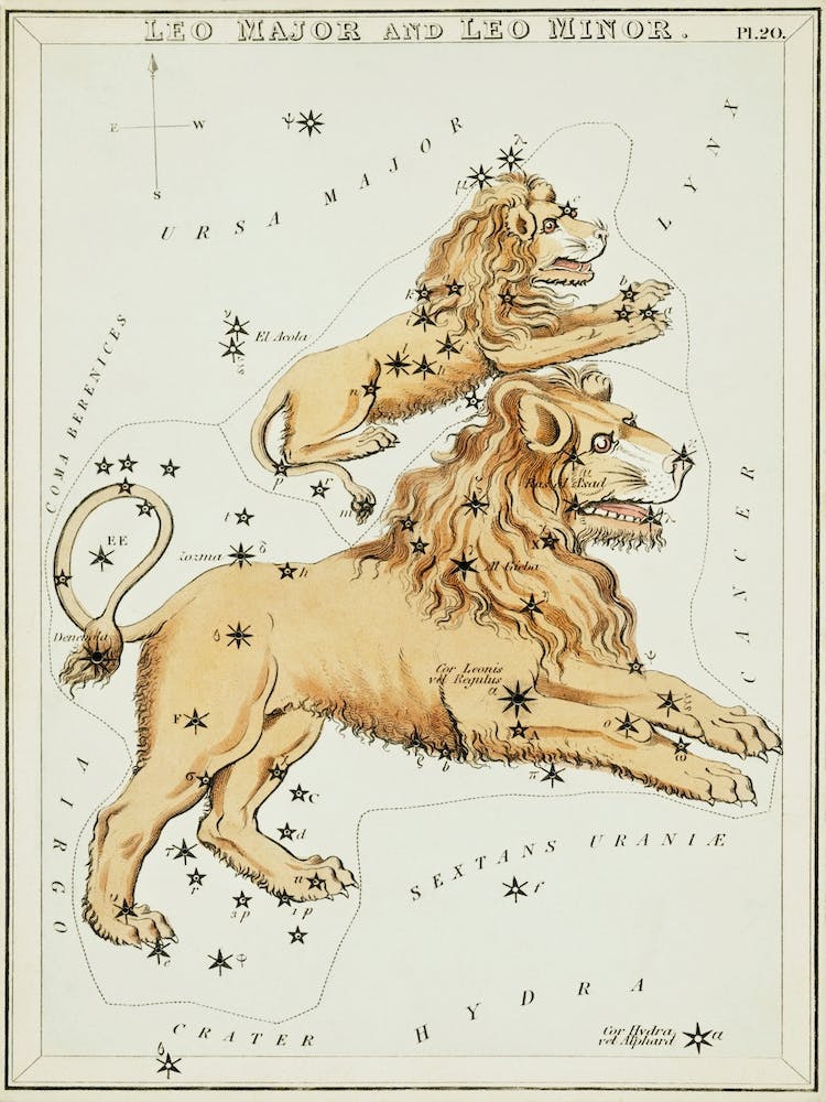 Sidney Hall’s (1831), Astronomical Chart Illustration Of The Leo Major And The Leo Minor