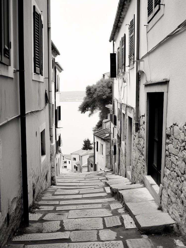 Rovinj, Croatia, Black And White Old Photo 2