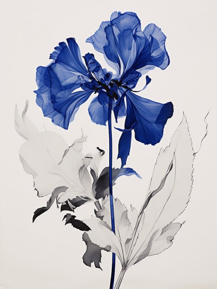 Blue Botanical Iris