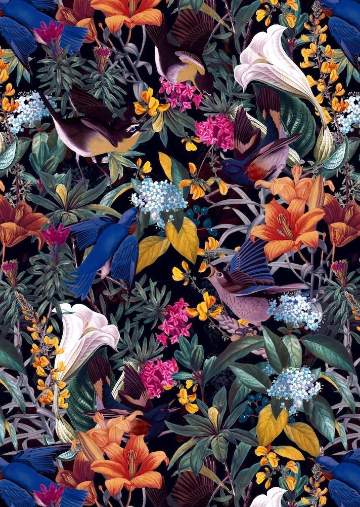 The Land Of Birds