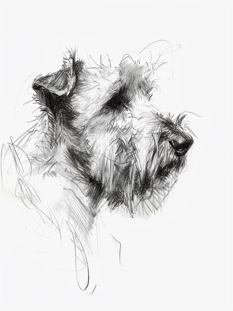 Sealyham Terrier Dog Charcoal Line 2