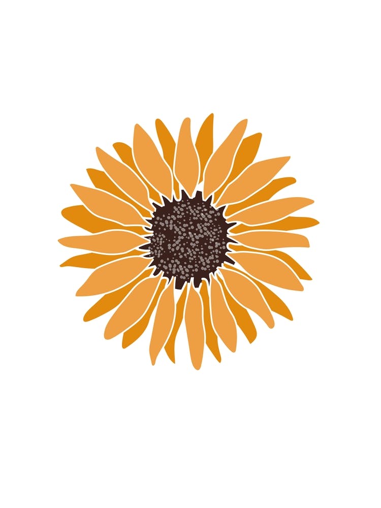 Sunflower Flower Colourful Orange Yellow Wall Art