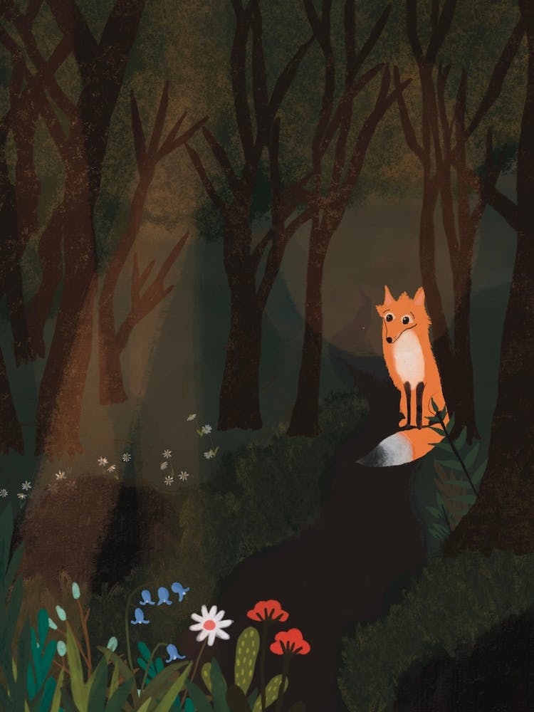 Fox in the Woods