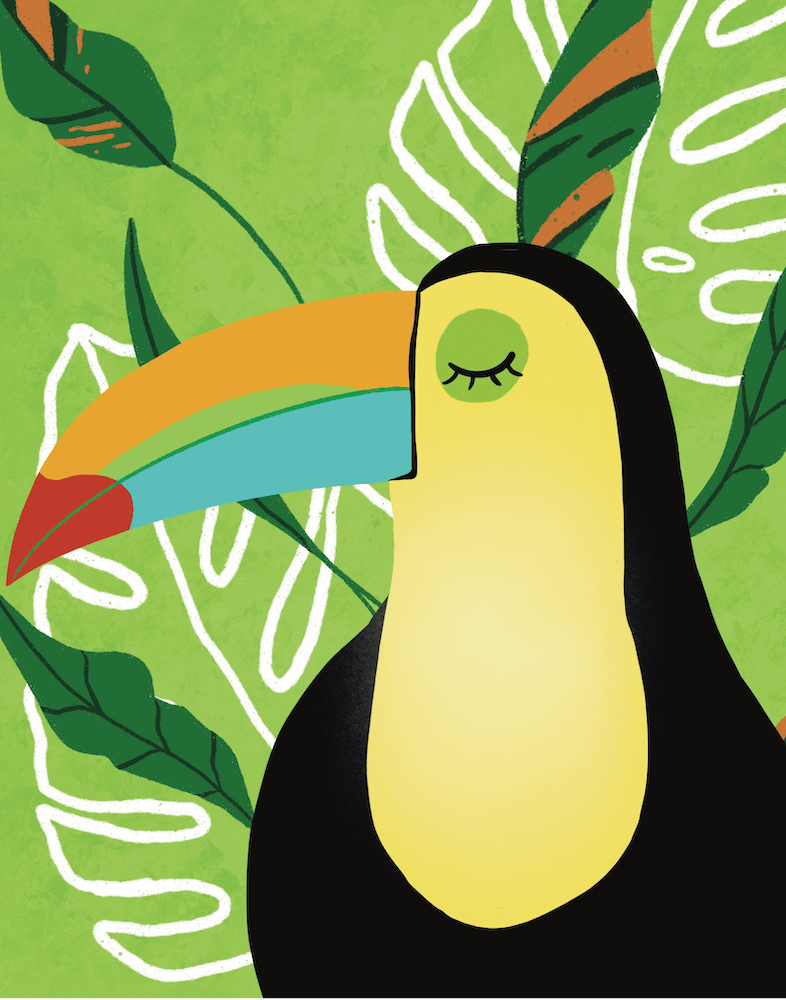 Tucan Do It