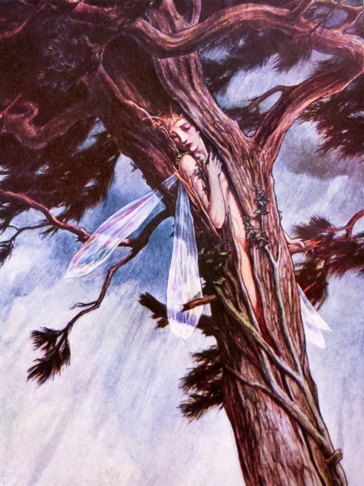 "Ariel in the Cloven Pine" from William Shakespeare's "The Tempest". 1905. HD Remastered | The Golden Age of Illustration