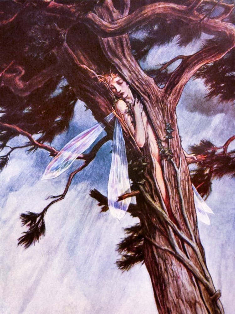 "Ariel in the Cloven Pine" from William Shakespeare's "The Tempest". 1905. HD Remastered | The Golden Age of Illustration