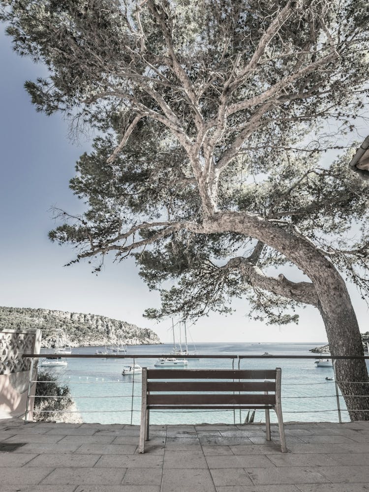 Bench By The Sea Mallorca