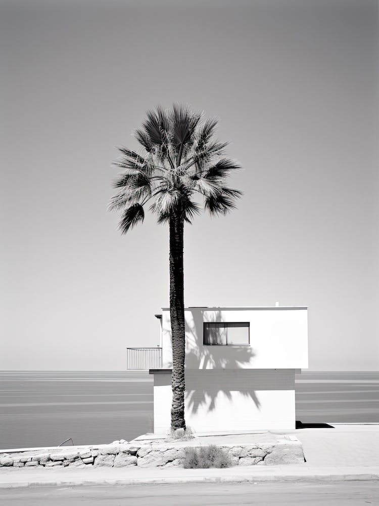 Ibiza, Spain, Black And White Photography 1