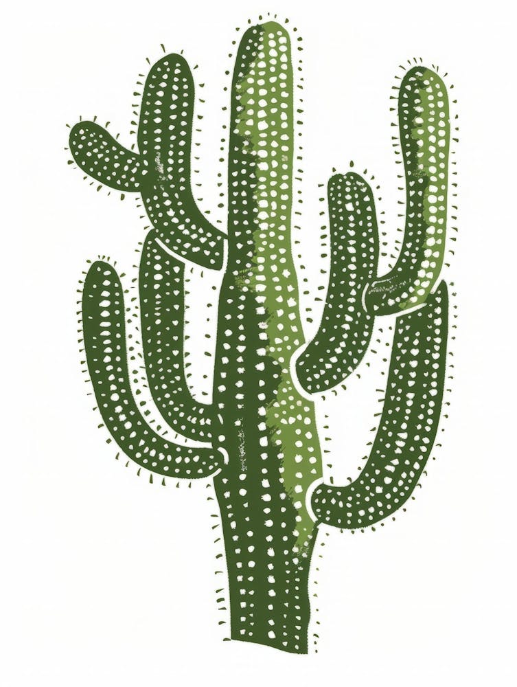 Cactus 12