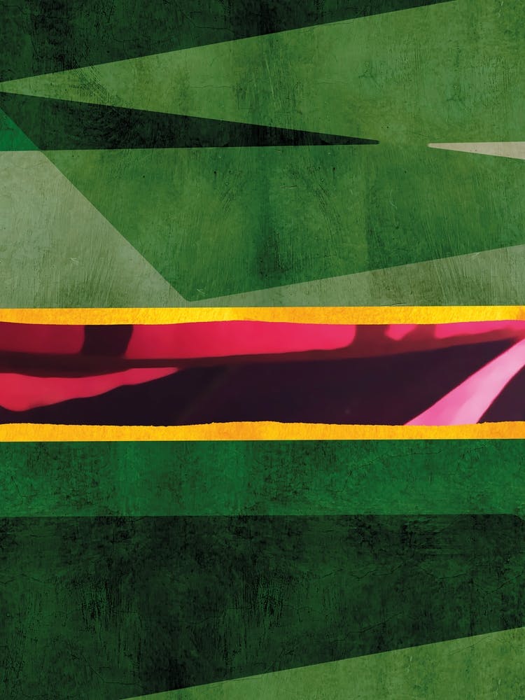 Green And Pink Vibrant3
