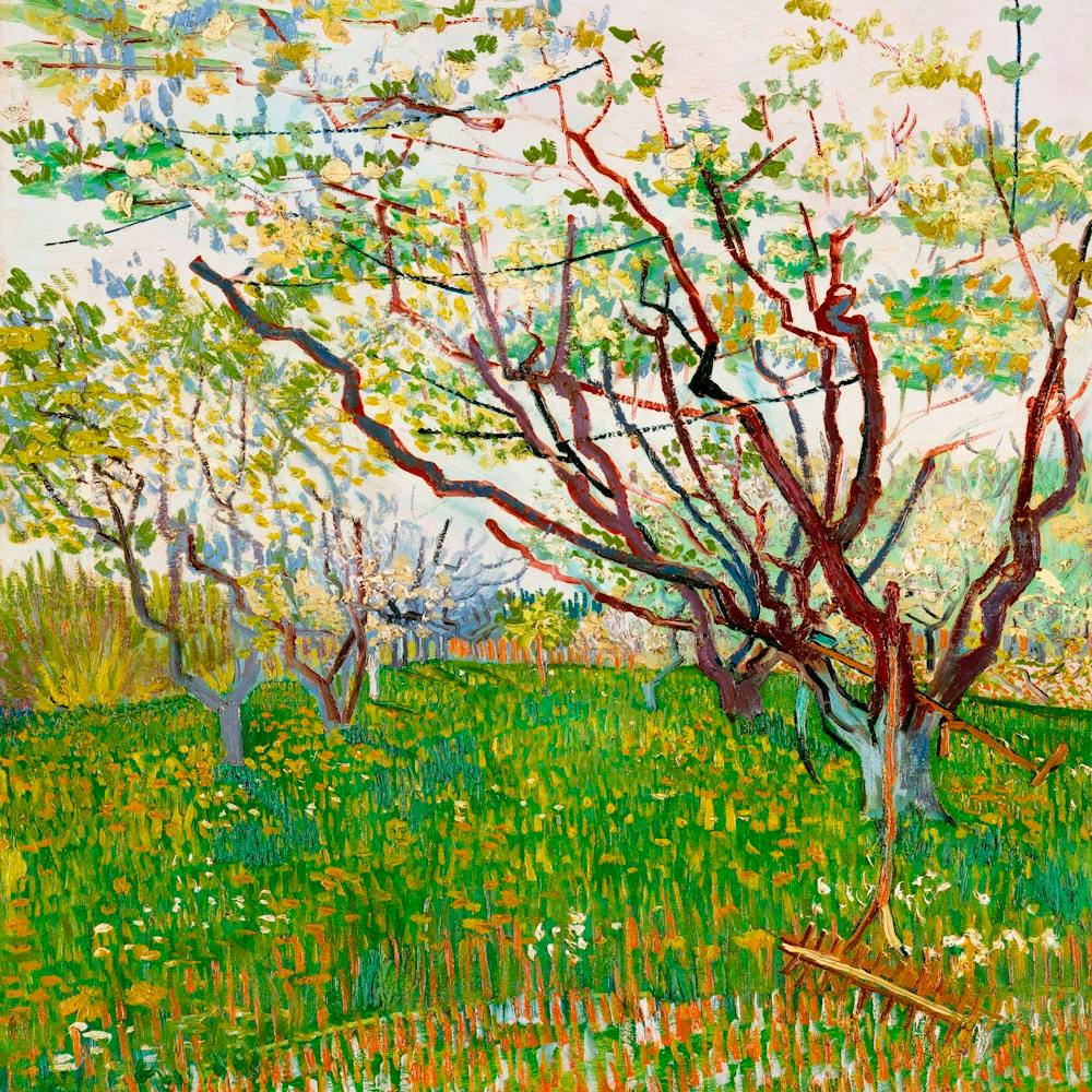 The Flowering Orchard (1888) By Vincent Van Gogh
