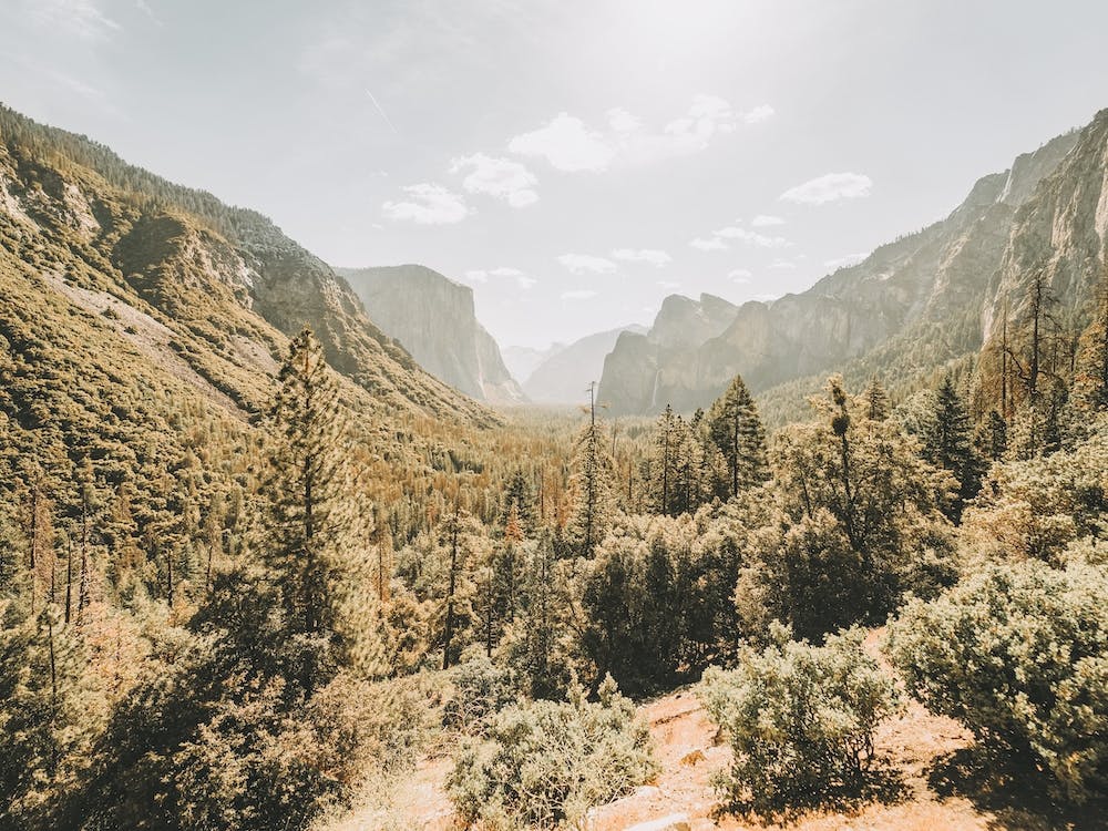 Yosemite Valley View