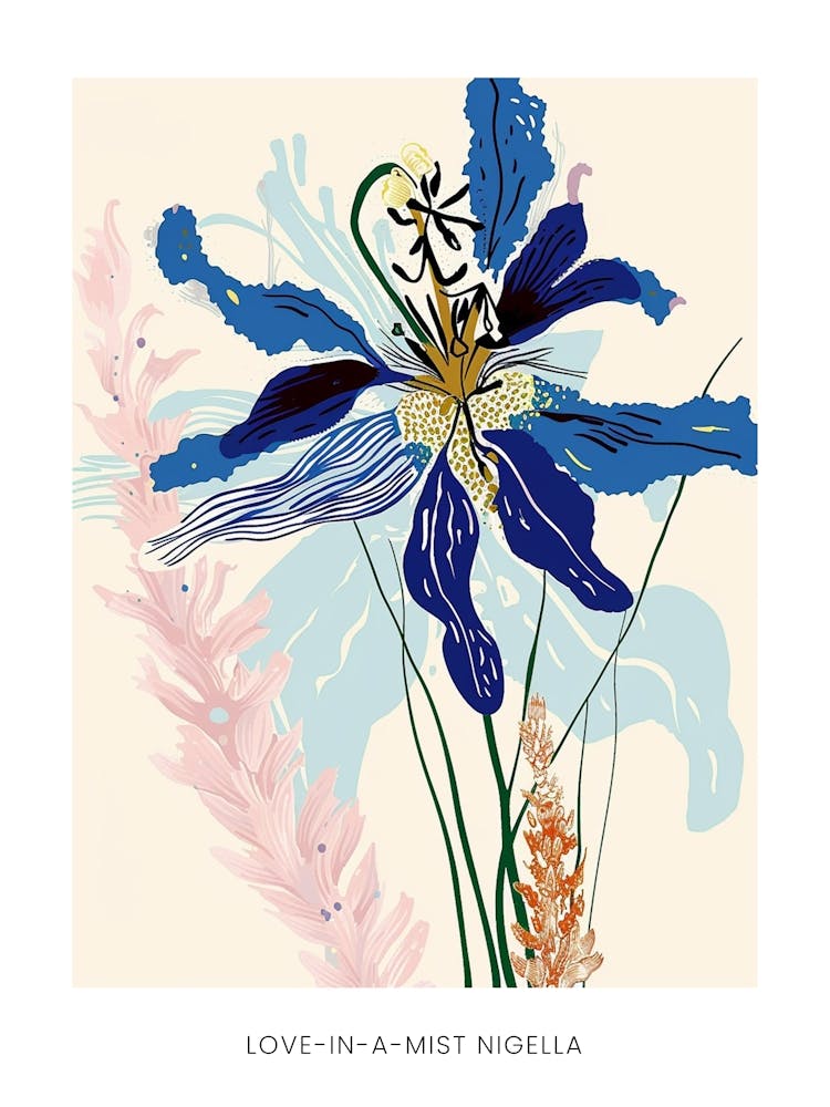 Buntes Blumenillustration Poster Love In A Mist Nigella 3