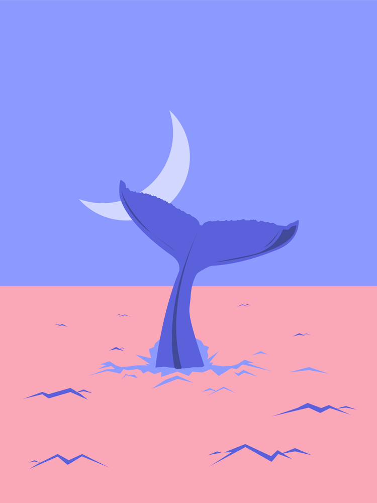Whale Tail and moon