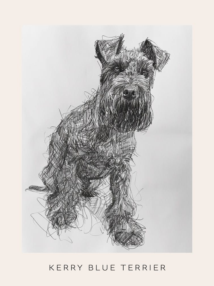 Kerry Blue Terrier Line Sketch 2 Poster