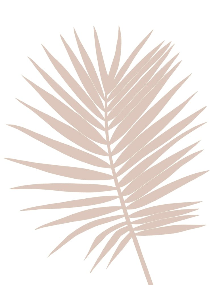 Palm Leaf Large Neutral