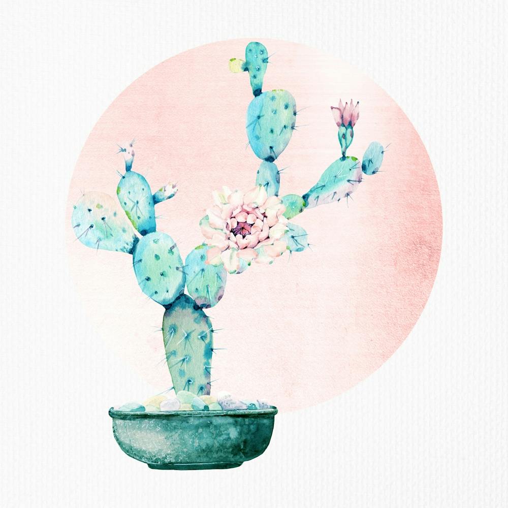 Potted Cactus Boho Rose Gold Sunset