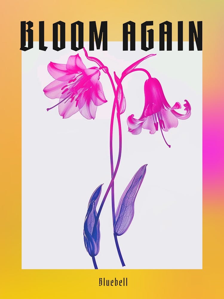 Hot Pink Bluebell 1 Poster