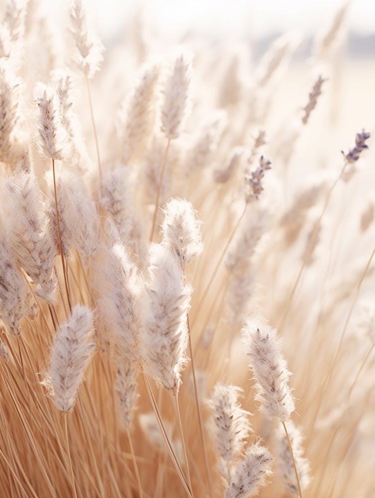 Boho Dried Flowers Lavender 1