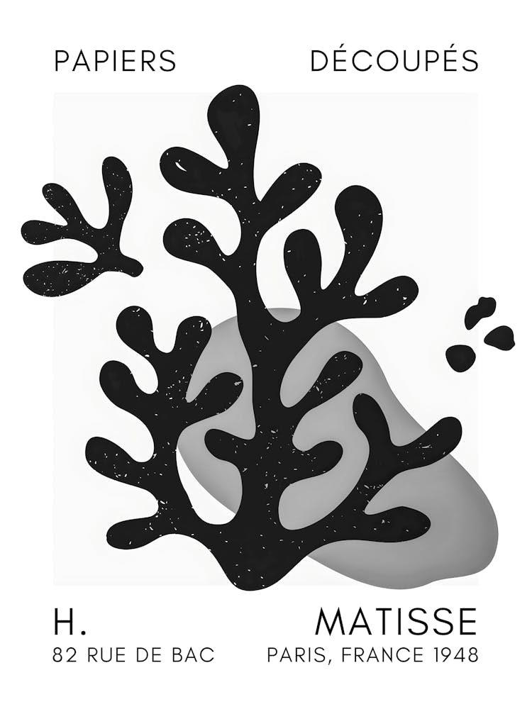 H Matisse 18