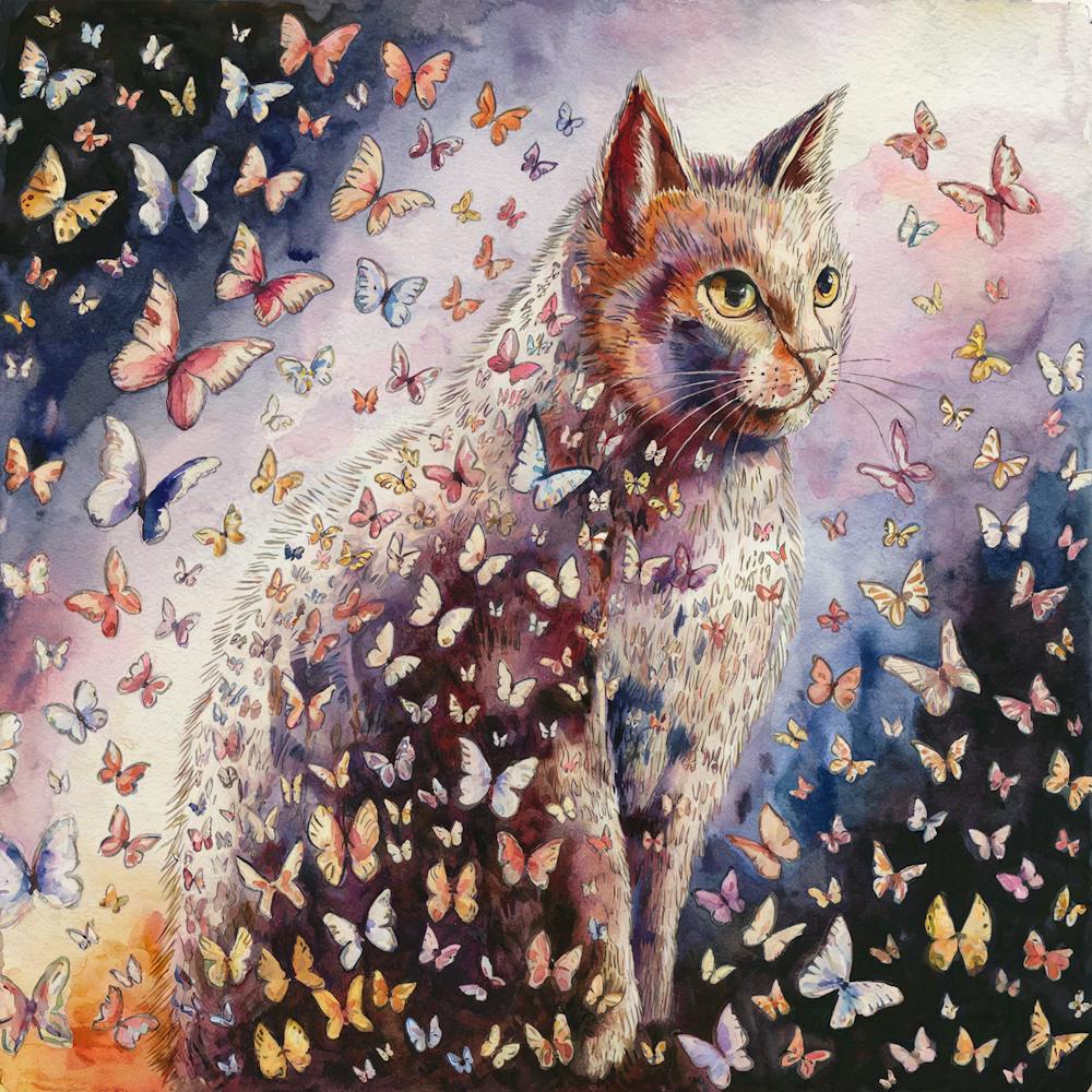 Butterfly Cat