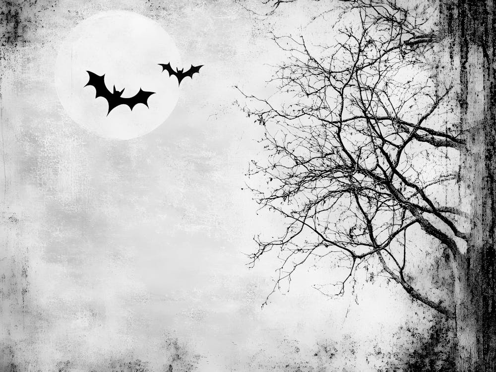 Bats In The Sky 6