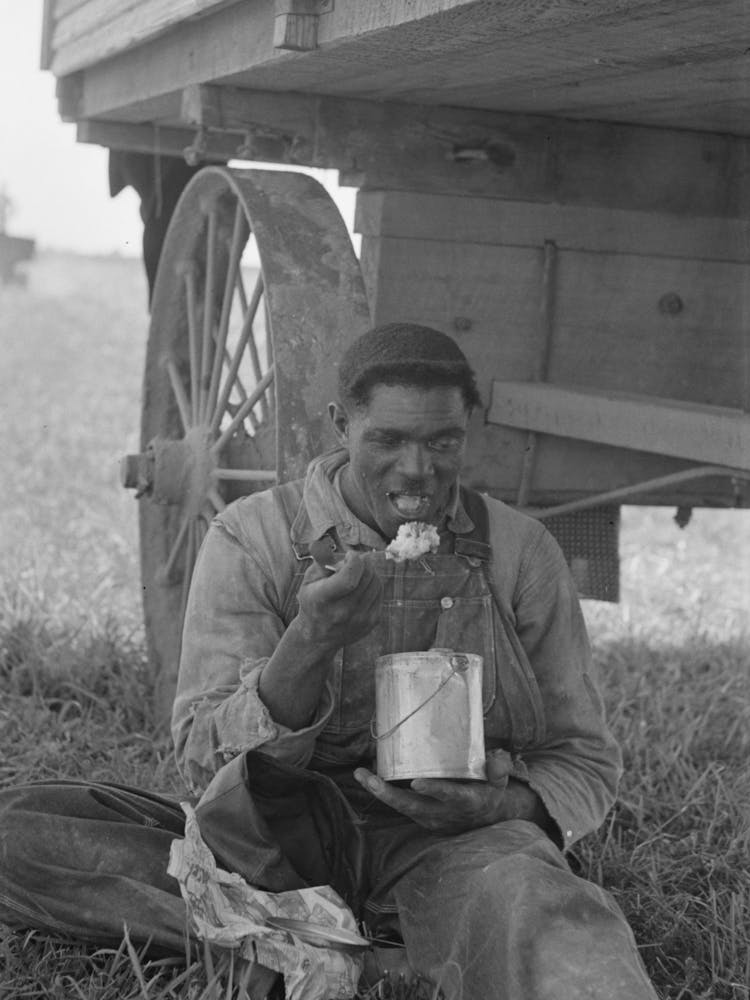 Man Eating Lunch In Cane Fields Near New Iberia, Louisiana By Russell Lee