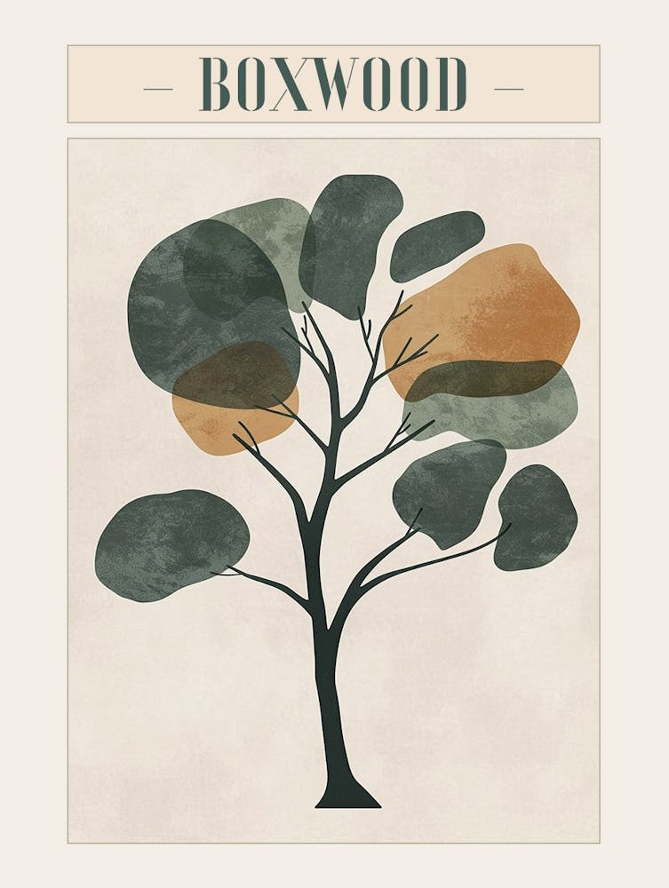 Boxwood Tree Minimal Japandi Illustration 3 Poster