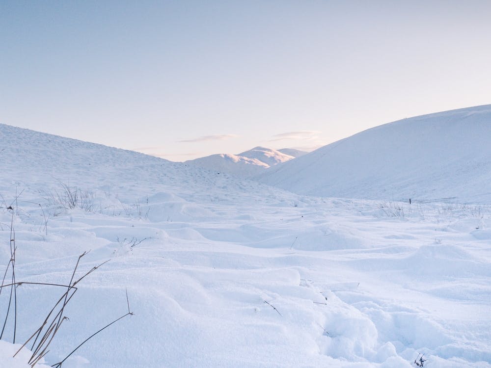 Snowy Landscape