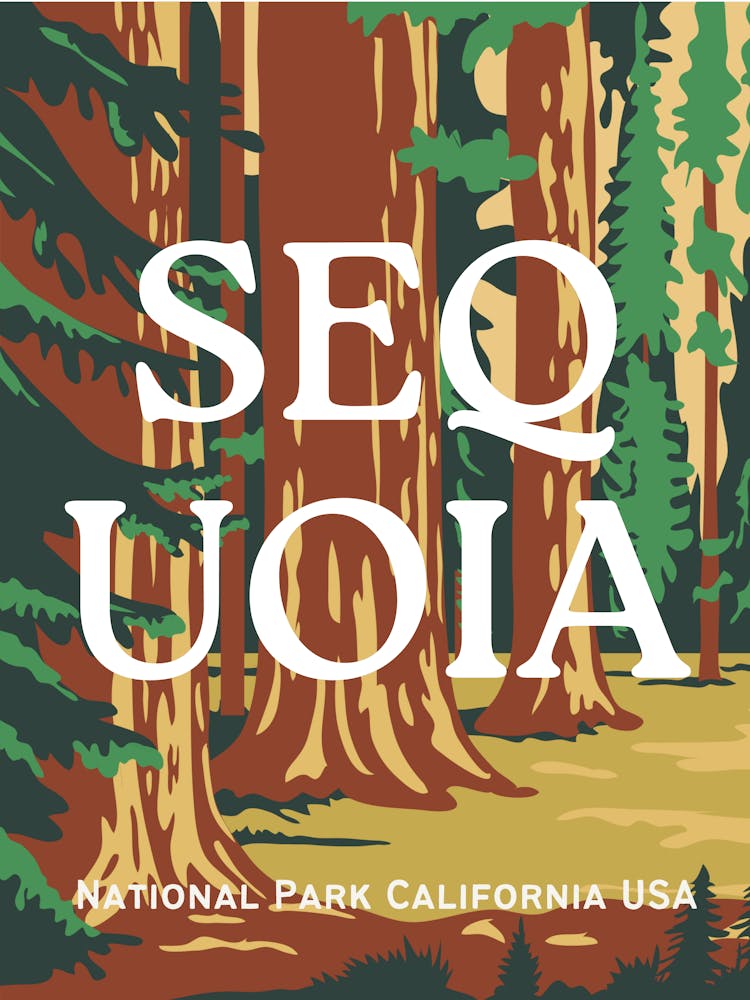 Sequoia National Park | California Travel