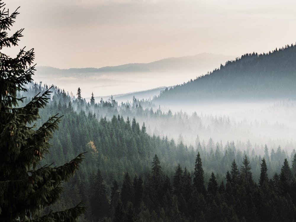 Nebelverhangenes Bergtal
